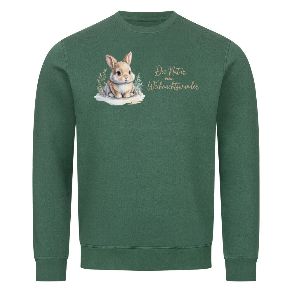 Image for color: varsity green