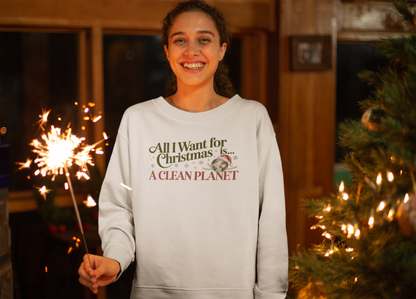 All I Want For Christmas Organisches Premium Bio Sweatshirt